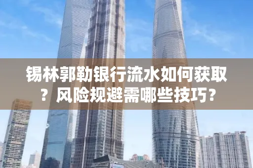 锡林郭勒银行流水如何获取？风险规避需哪些技巧？