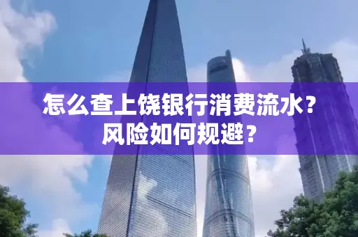 怎么查上饶银行消费流水?风险如何规避?