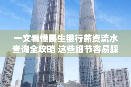 一文看懂民生银行薪资流水查询全攻略 这些细节容易踩雷