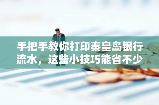 手把手教你打印秦皇岛银行流水,这些小技巧能省不少事