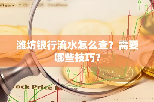 潍坊银行流水怎么查?需要哪些技巧?