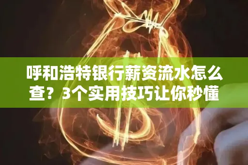 呼和浩特银行薪资流水怎么查?3个实用技巧让你秒懂
