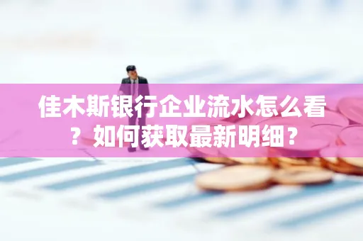 佳木斯银行企业流水怎么看?如何获取最新明细?