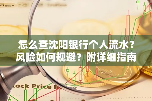 怎么查沈阳银行个人流水?风险如何规避?附详细指南