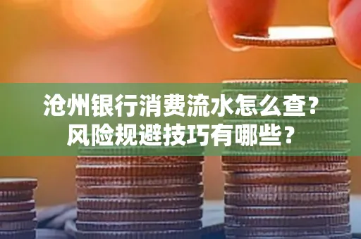 沧州银行消费流水怎么查?风险规避技巧有哪些?