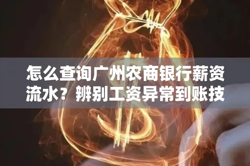 怎么查询广州农商银行薪资流水?辨别工资异常到账技巧?