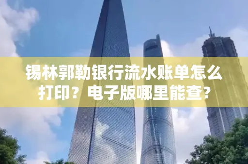 锡林郭勒银行流水账单怎么打印?电子版哪里能查?