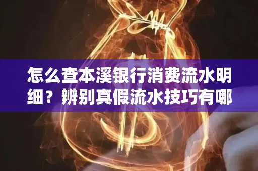 怎么查本溪银行消费流水明细?辨别真假流水技巧有哪些?