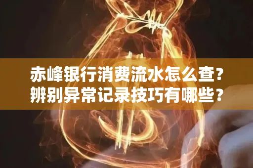 赤峰银行消费流水怎么查?辨别异常记录技巧有哪些?