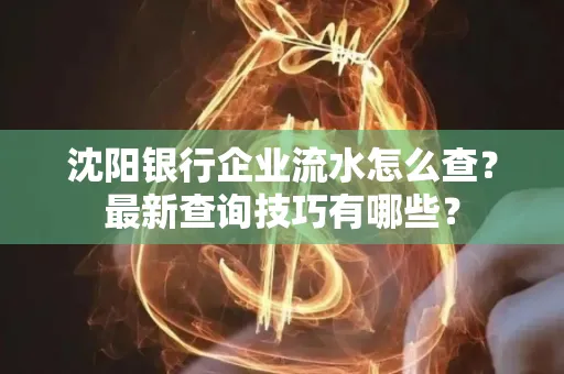 沈阳银行企业流水怎么查？最新查询技巧有哪些？