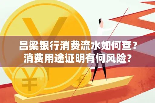 吕梁银行消费流水如何查?消费用途证明有何风险?