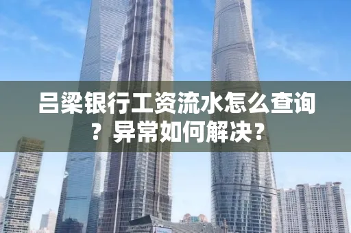 吕梁银行工资流水怎么查询？异常如何解决？