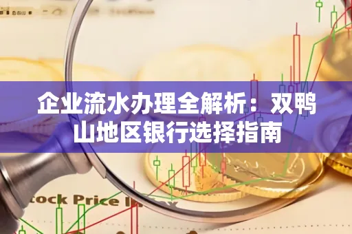 企业流水办理全解析:双鸭山地区银行选择指南