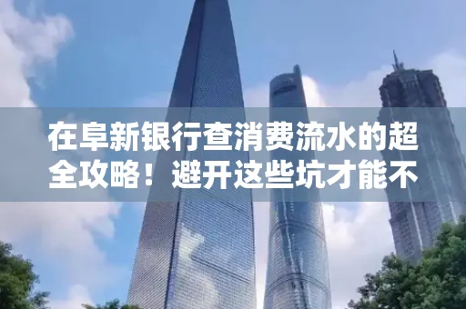 在阜新银行查消费流水的超全攻略!避开这些坑才能不踩雷