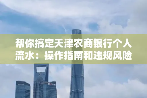 帮你搞定天津农商银行个人流水:操作指南和违规风险避坑攻略