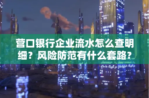 营口银行企业流水怎么查明细?风险防范有什么套路?