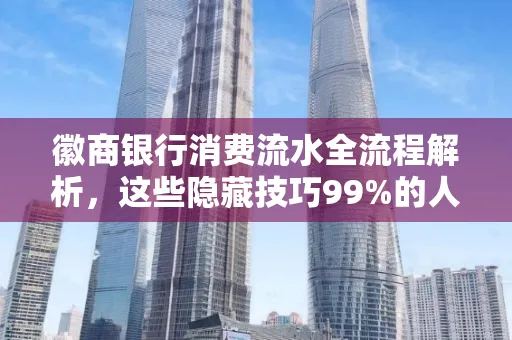 徽商银行消费流水全流程解析,这些隐藏技巧99%的人不知道
