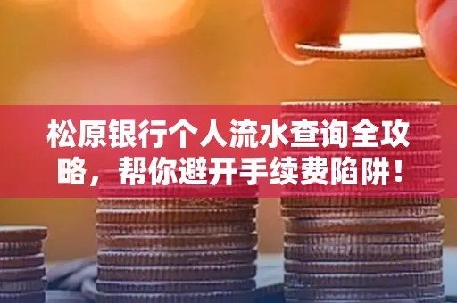 松原银行个人流水查询全攻略,帮你避开手续费陷阱!
