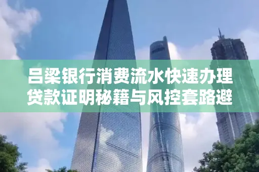 吕梁银行消费流水快速办理贷款证明秘籍与风控套路避坑指南