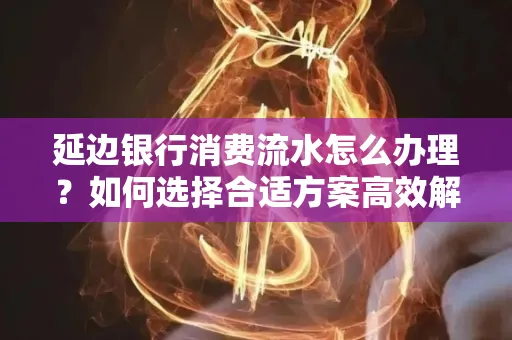 延边银行消费流水怎么办理?如何选择合适方案高效解决?
