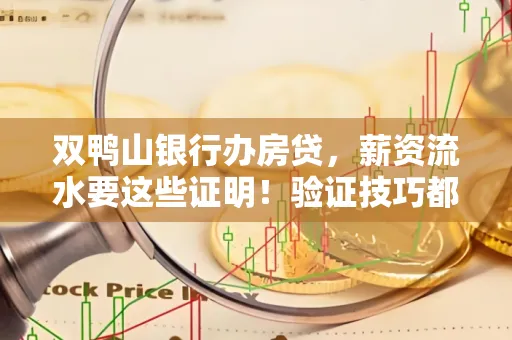 双鸭山银行办房贷,薪资流水要这些证明!验证技巧都在这里!