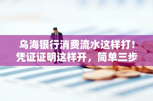 乌海银行消费流水这样打!凭证证明这样开,简单三步轻松搞定