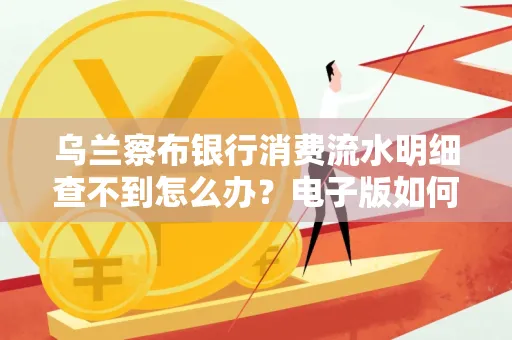 乌兰察布银行消费流水明细查不到怎么办?电子版如何获取攻克技巧?