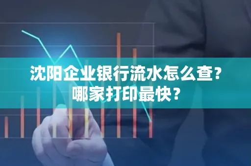 沈阳企业银行流水怎么查?哪家打印最快?