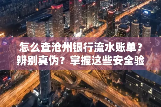 怎么查沧州银行流水账单?辨别真伪?掌握这些安全验证方法
