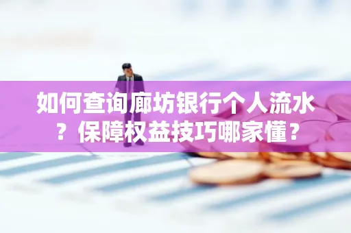 如何查询廊坊银行个人流水?保障权益技巧哪家懂?