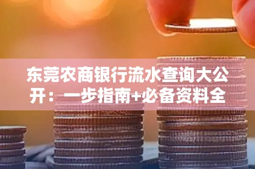 东莞农商银行流水查询大公开:一步指南+必备资料全解读