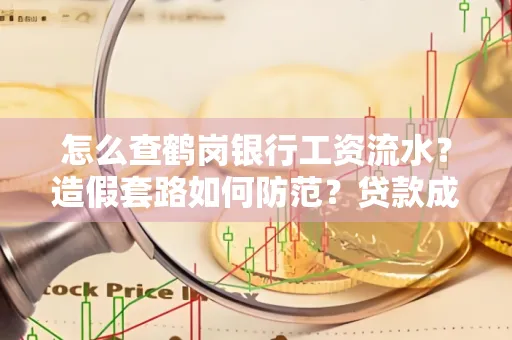 怎么查鹤岗银行工资流水?造假套路如何防范?贷款成功率翻倍攻略