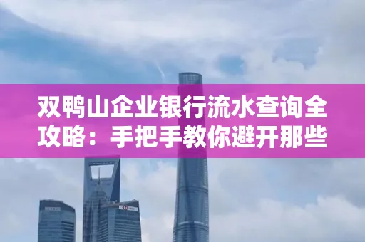 双鸭山企业银行流水查询全攻略:手把手教你避开那些坑