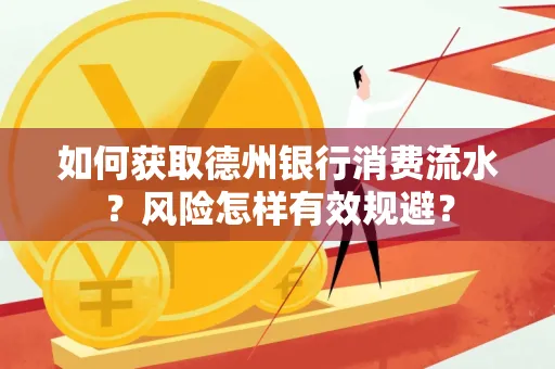 如何获取德州银行消费流水?风险怎样有效规避?