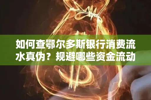 如何查鄂尔多斯银行消费流水真伪?规避哪些资金流动风险?防范要点解析