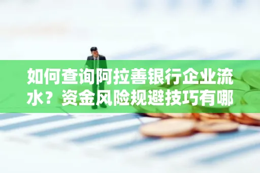 如何查询阿拉善银行企业流水?资金风险规避技巧有哪些?