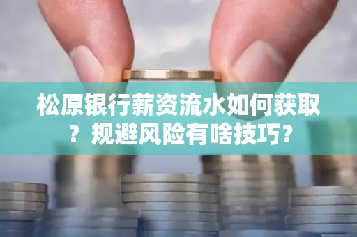 松原银行薪资流水如何获取?规避风险有啥技巧?