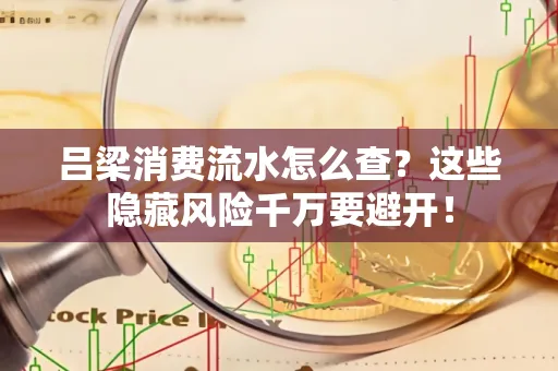 吕梁消费流水怎么查?这些隐藏风险千万要避开!