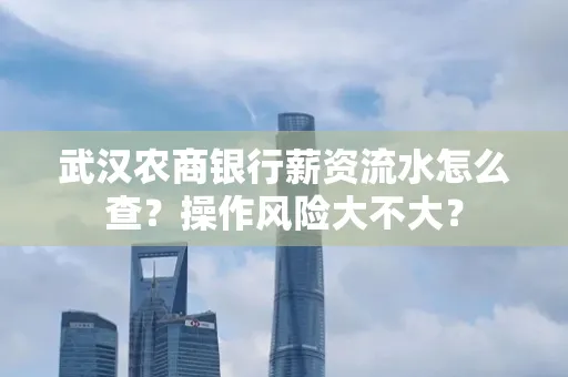 武汉农商银行薪资流水怎么查？操作风险大不大？