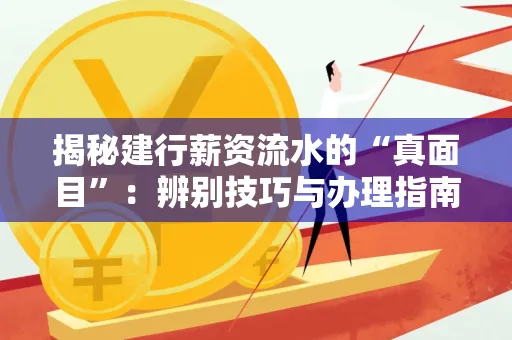 揭秘建行薪资流水的“真面目”：辨别技巧与办理指南大公开