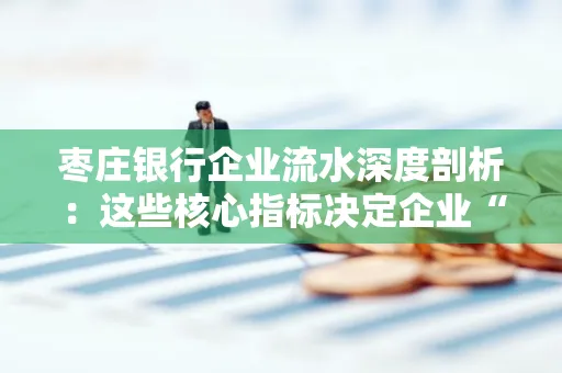 枣庄银行企业流水深度剖析：这些核心指标决定企业“钱袋子”健康度