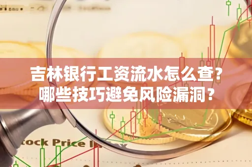 吉林银行工资流水怎么查？哪些技巧避免风险漏洞？