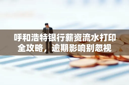 呼和浩特银行薪资流水打印全攻略,逾期影响别忽视