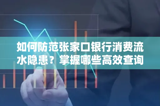 如何防范张家口银行消费流水隐患?掌握哪些高效查询技巧?