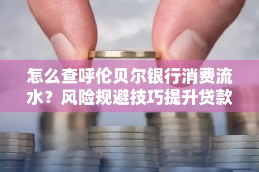 怎么查呼伦贝尔银行消费流水？风险规避技巧提升贷款率？